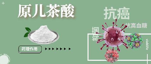 神奇的抗癌原料——原儿茶酸