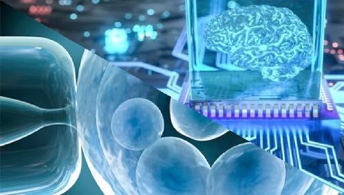 人工智能的又一次胜利——AI与合成生物学的结合